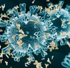 आठ हजार चार सय अठार नयाँ सङ्क्रमित, ५३ जनाको निधन