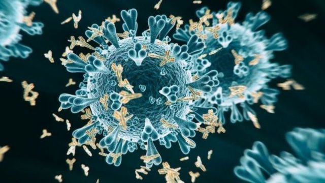 नेपालमा कोरोना सङ्क्रमण दर २२८ प्रतिशतले वृद्धि  