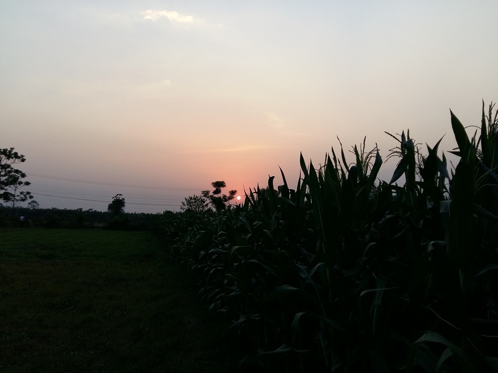 सूर्यास्तको मनै लोभ्याउने दृश्यः