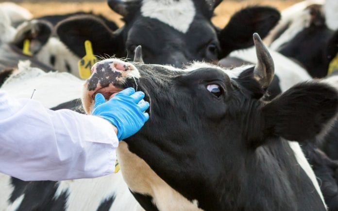 चितवनमा प्रदेशस्तरीय पशुपक्षी अस्पताल बनाउन प्रस्ताव