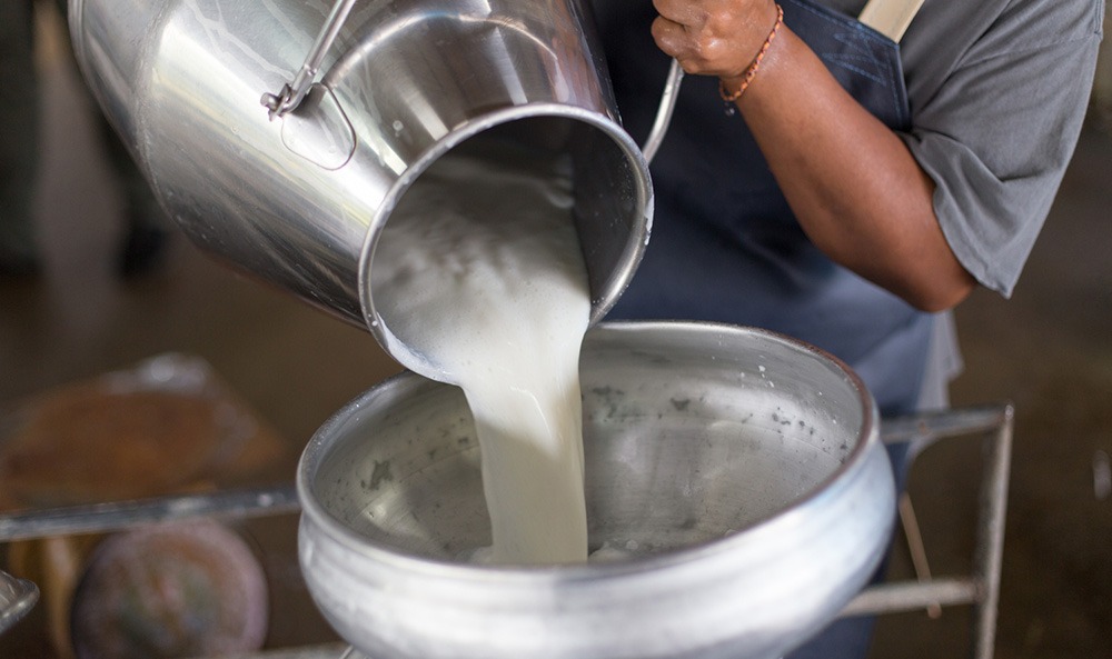 सहकारीमार्फत दूध बेचेरै किसानले कमाए पाँच करोड