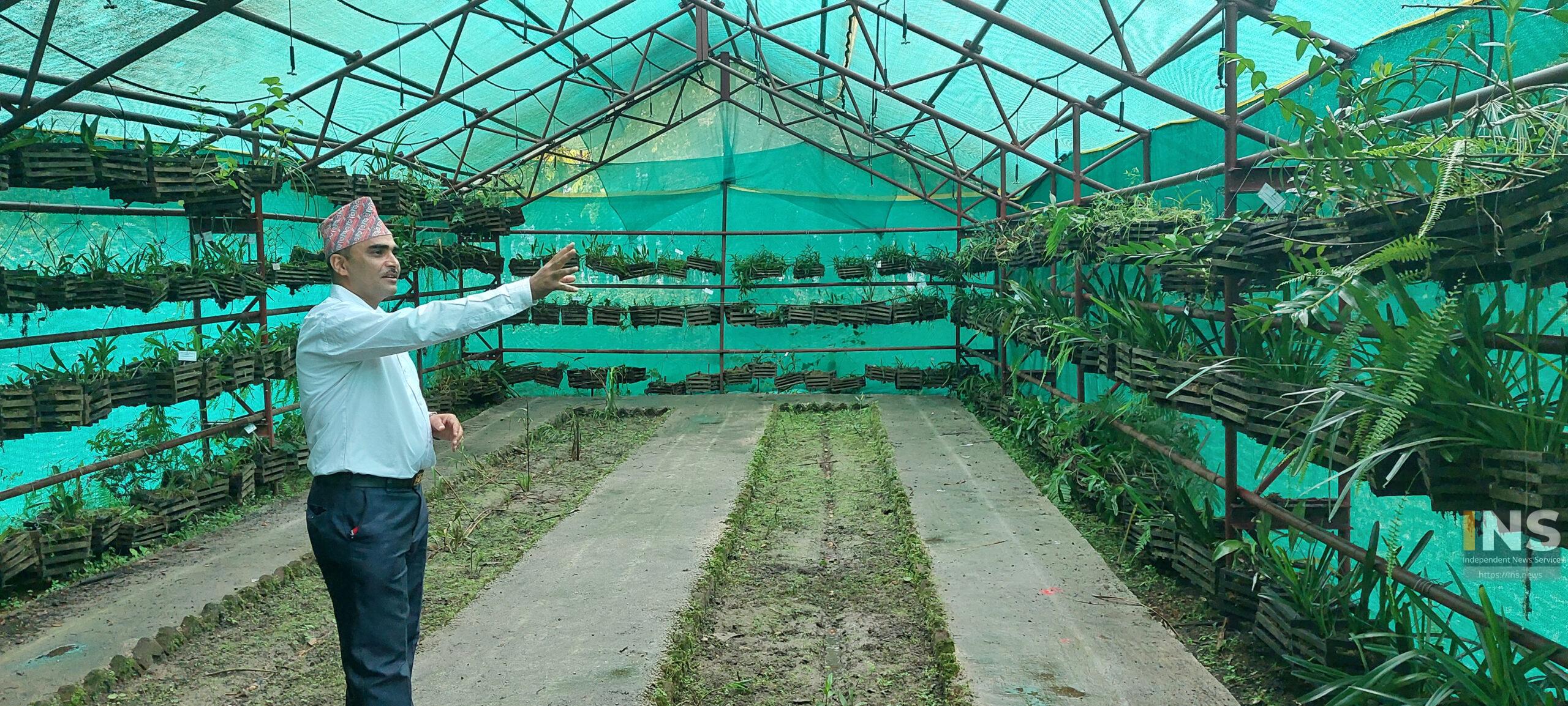 कायाकल्प भयो मकवानपुरको वनस्पति अनुसन्धान केन्द्र