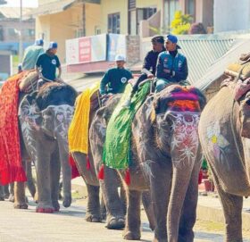 सौराहामा १९औँ चितवन हात्ती तथा पर्यटन महोत्सव हुने