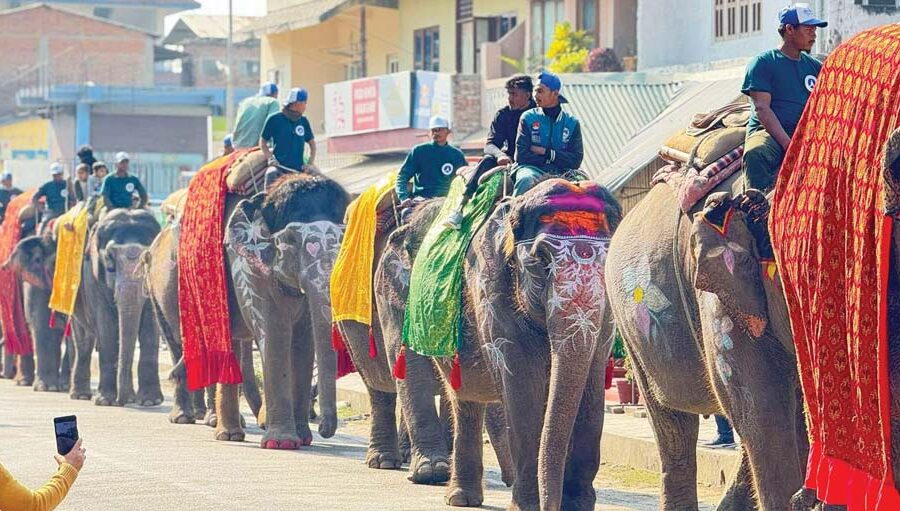 सौराहामा १९औँ चितवन हात्ती तथा पर्यटन महोत्सव हुने