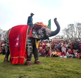 चितवनको पर्याय बन्दै ‘हात्ती तथा पर्यटन महोत्सव’