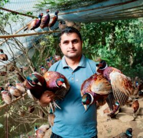 व्यावसायिक कृषिमा रमाउँदै ढकाल परिवार