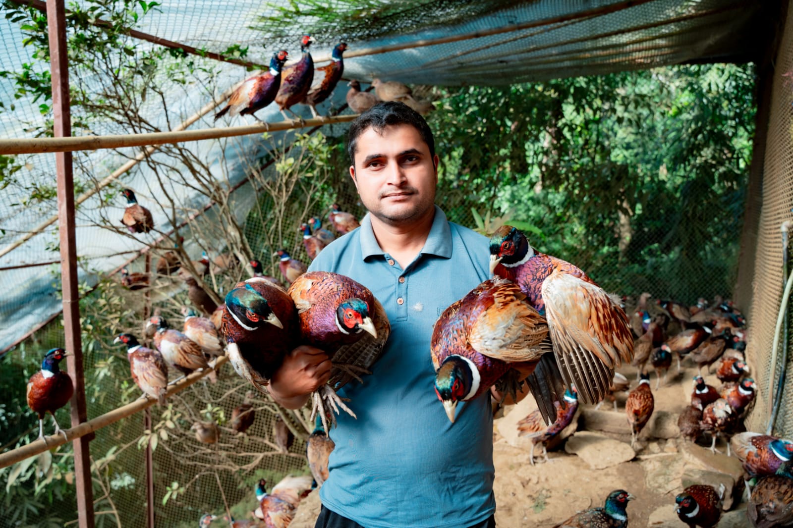 व्यावसायिक कृषिमा रमाउँदै ढकाल परिवार