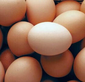 अण्डाको मूल्य हालसम्मकै उच्च